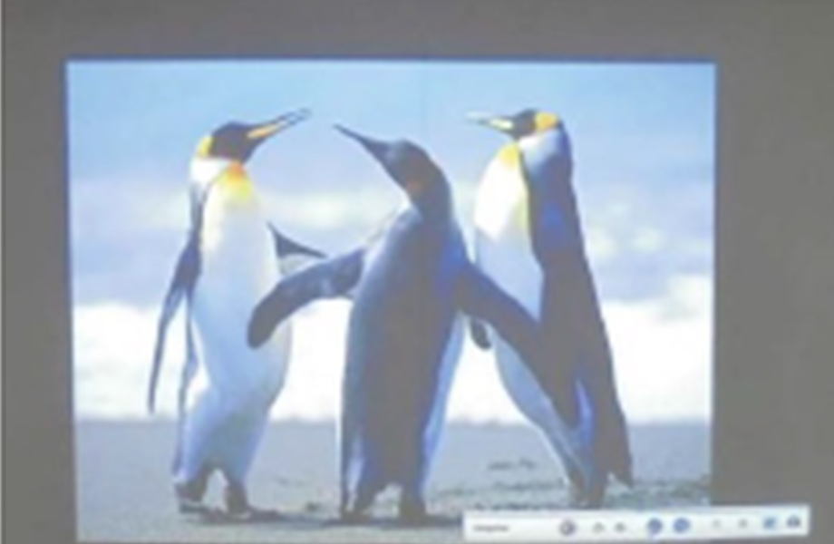 ホワイトボード